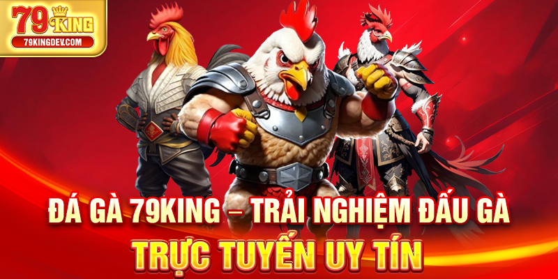 Đá Gà 79King – Trải Nghiệm Đấu Gà Trực Tuyến Uy Tín Đá gà 79King