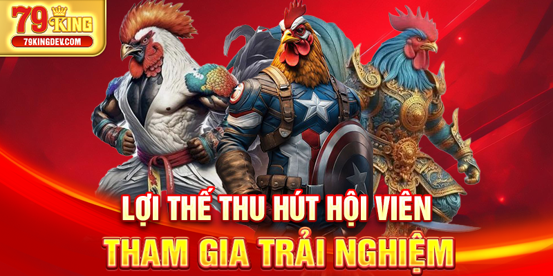 Đá Gà 79King – Trải Nghiệm Đấu Gà Trực Tuyến Uy Tín Lợi thế thu hút hội viên tham gia trải nghiệm