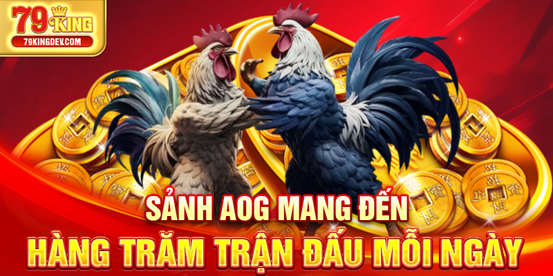 Đá Gà 79King – Trải Nghiệm Đấu Gà Trực Tuyến Uy Tín Sảnh AOG mang đến hàng trăm trận đấu mỗi ngày