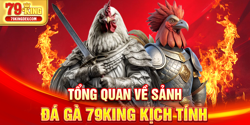 Đá Gà 79King – Trải Nghiệm Đấu Gà Trực Tuyến Uy Tín Tổng quan về sảnh đá gà 79King kịch tính